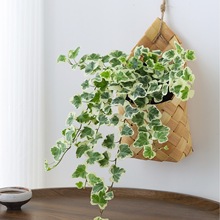 ѩ��������ֲ�������҃ȿ͏d���B�Gֲ�����k�������澎������辰