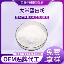 大米蛋白粉食品级水解蛋白粉原料大米提取物现货厂家供应免费拿样