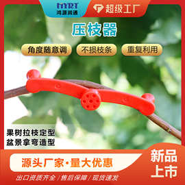 鸿源润通拉枝器果树盆景定型工具园艺别枝器枝条固定器园艺压枝器