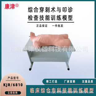 Integrated Puncture and Percussion Examination Skills Training Model, Thoracic Puncture Model, Pericardial Injection Model