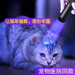 New lamp cat moss lamp flashlight aspergillus flavus fluorescent agent detection ultraviolet uv curing night ride identification