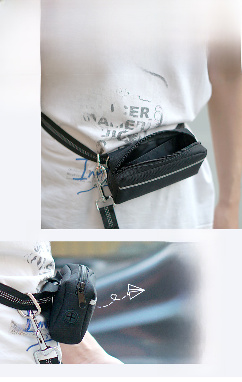 Pet Leash Image 12