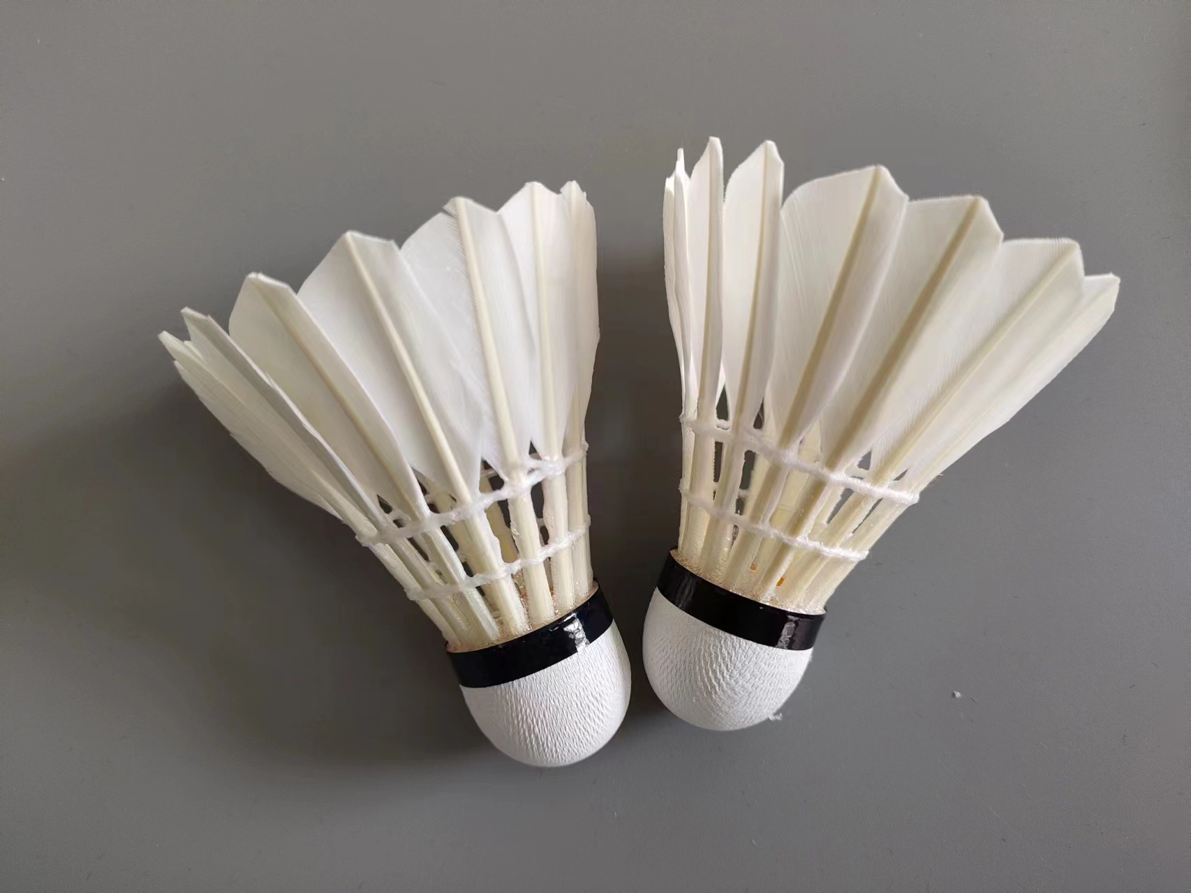 微信图片_20230706110046