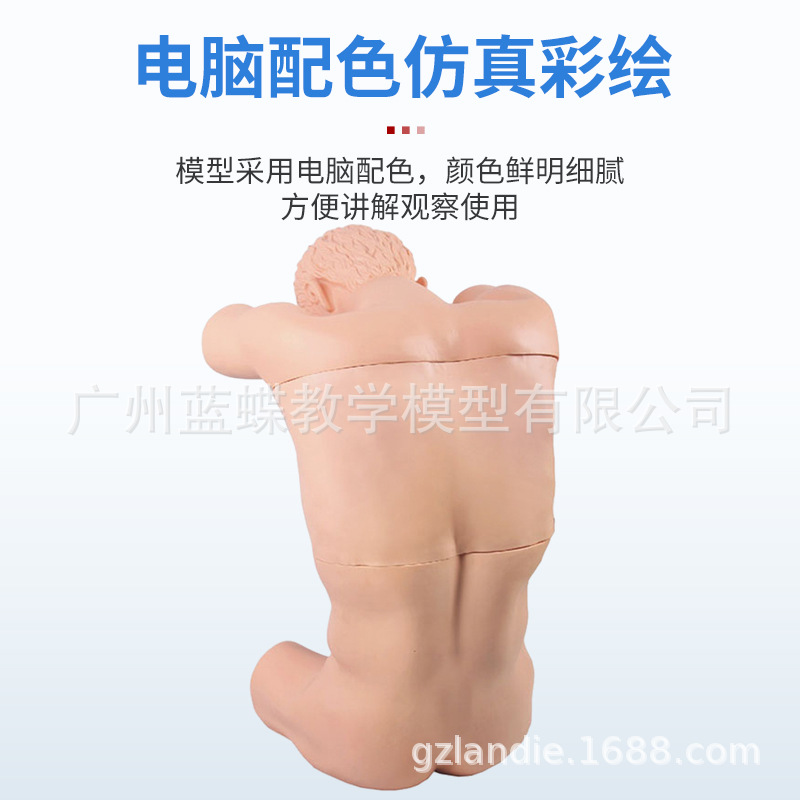 �ۺϴ�����ߵ����׵�������ش�����ǻ��ʽ�������̷����׼������