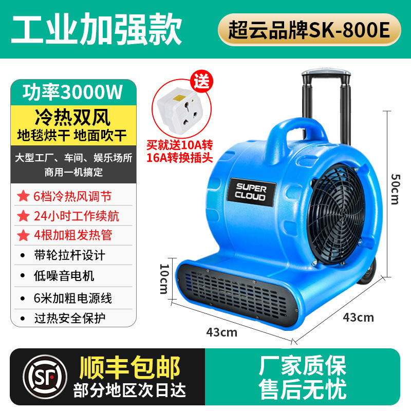 Chaoyun-3000W-뜨거운 것과 차가운 이중 바람-올 시즌 사용 가능