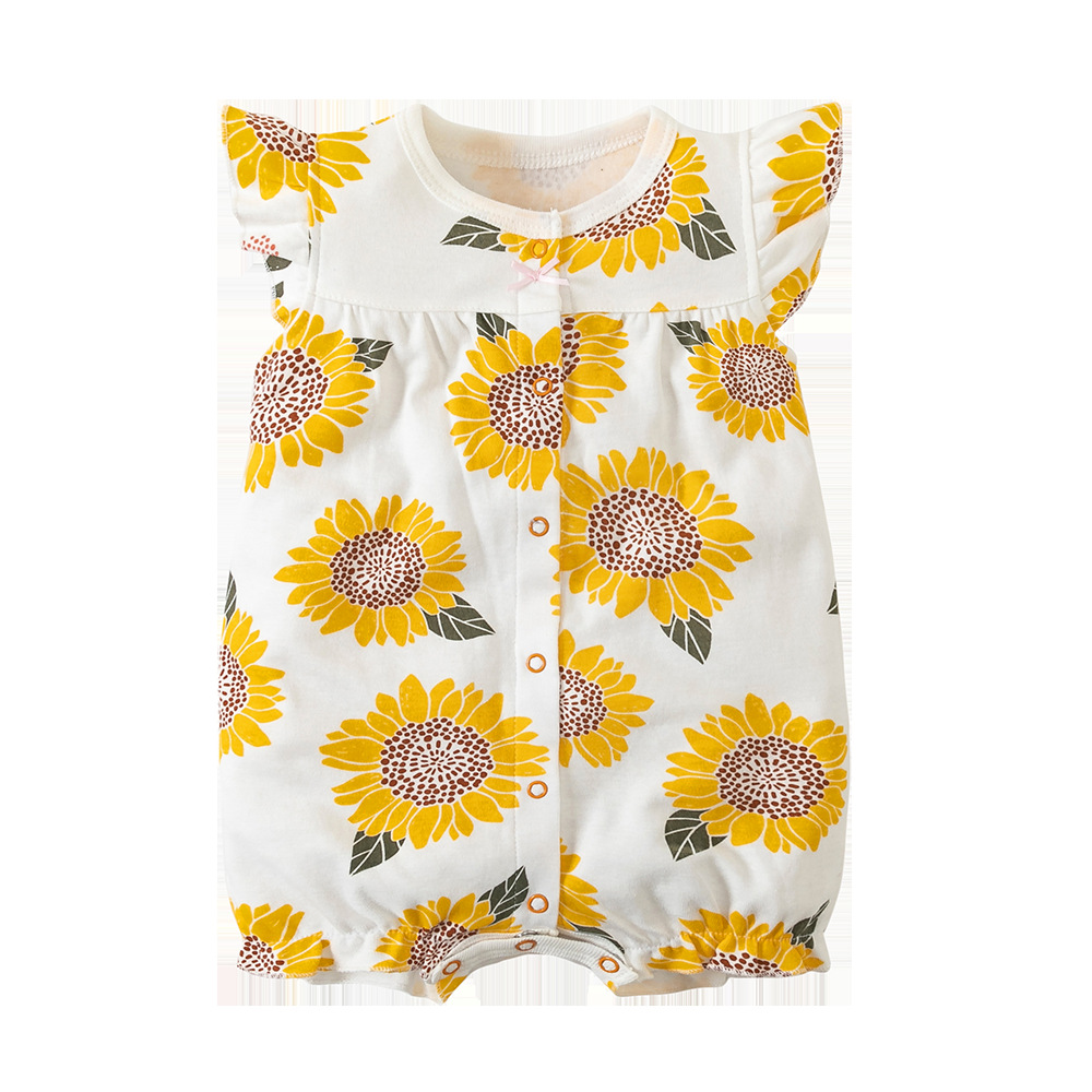 짧은 등반 해바라기