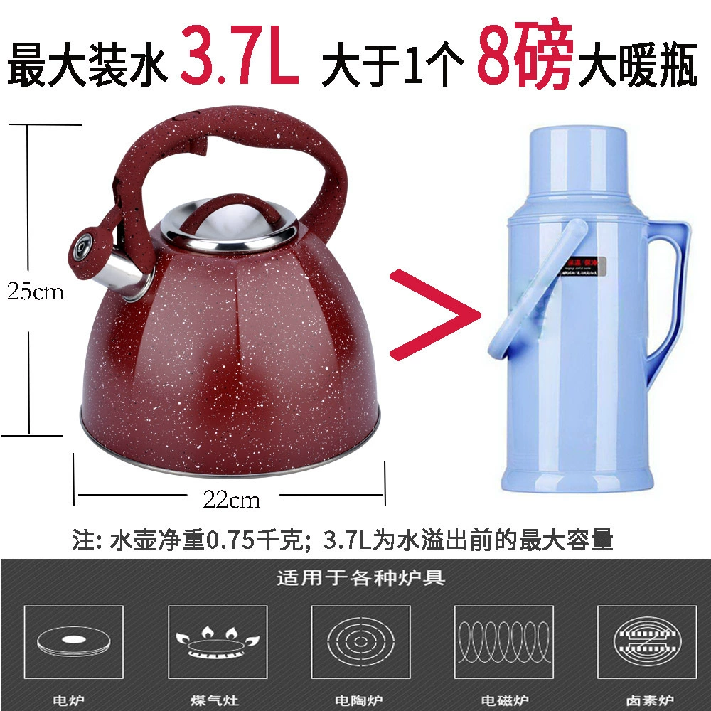 Capacious high quality electromagnetic teapot stainless steel