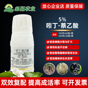 5%�Ŷ�������ݱ�rșֲ�����L�{����Ǥ��Һ�����������������ᶣ��