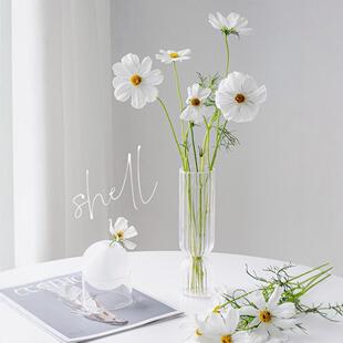 White Gesang Flower Flowers Symbolize Happiness, Small Flowers from Kunming, Yunnan, Straight Hair, Household Hydroponic Cut Flowers