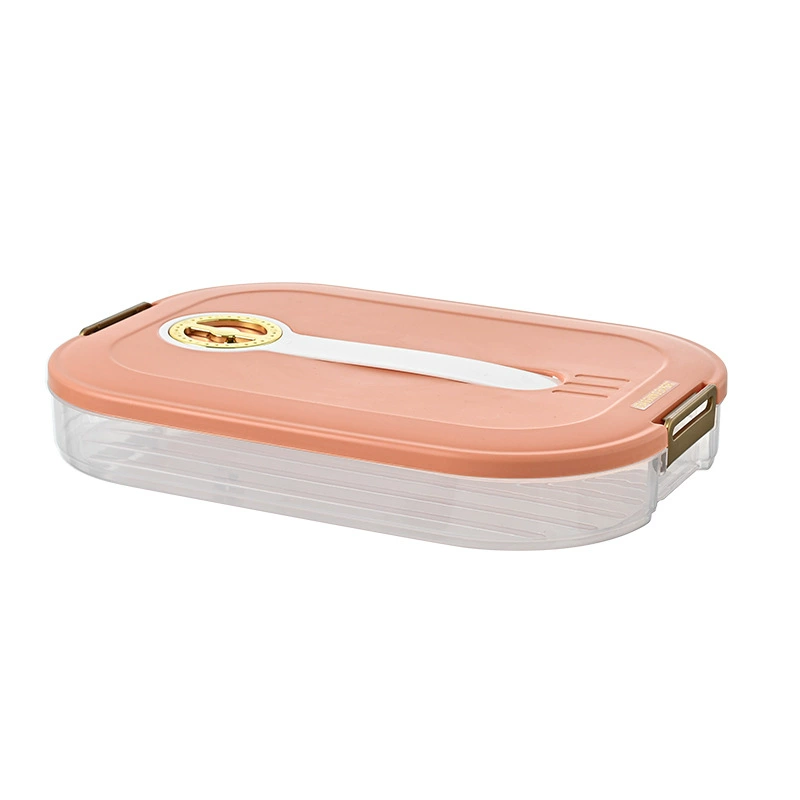 Multi-layer Dumpling Storage Box, Large Capacity with Timer, Portable Refrigerator-safe (1–4 Layers)