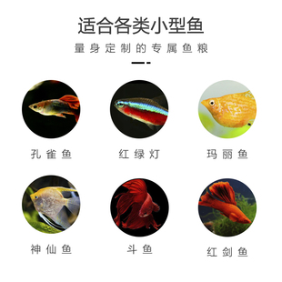 Unified Small Tropical Fish Feed Peacock Lamp Family Colorful Fish Food Swallow Fish Sinking Opening to Enhance Fish Cloud