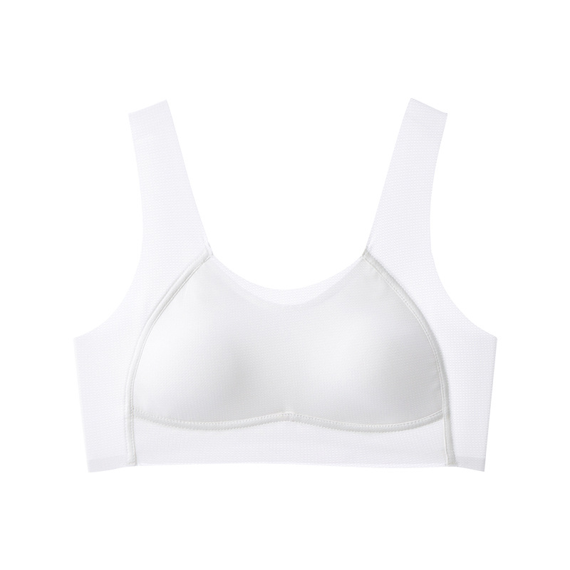 2408 white