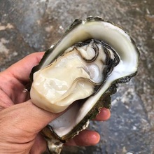 ̨ɽ�r���ش�������տ�����rˮ�aĵϠ�����߉�����10���ײ�