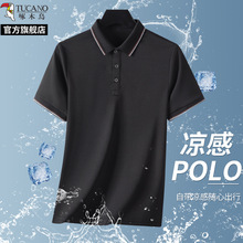 ľBļIɫPOLOʿ̄հְeٴzt