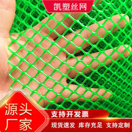 批发绿色塑料平网小鸡鸭鹅苗垫网漏粪垫网网片围栏网塑料胶网网格