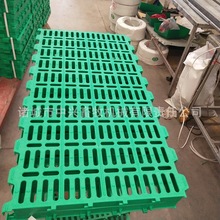 100*50©򴲵ذ©©ʺ