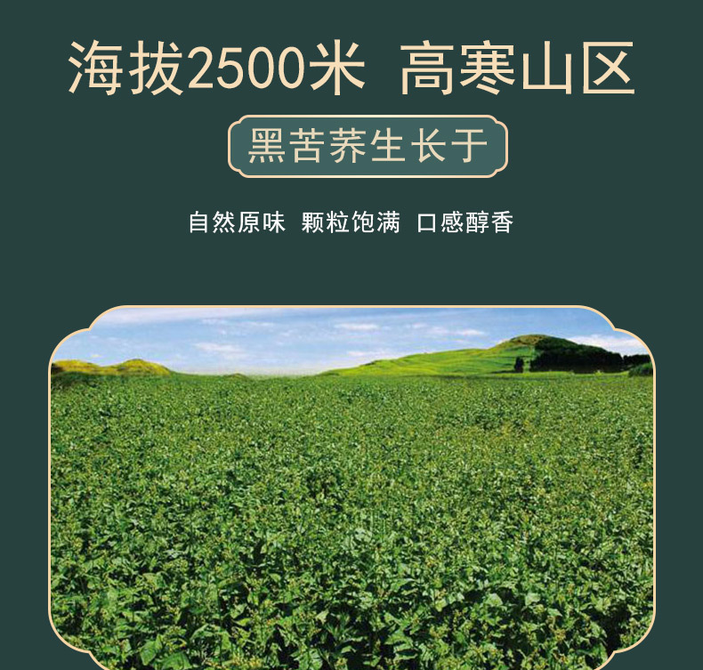 Black Tartary Buckwheat Tea Liangshan Roasted Buckwheat Sprout Herbal Tea 500g Can specifications