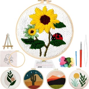Popular DIY Punch Needle Kit Material Package with Hoop Needle Beginner Practice Kit Amazon Needlework Embroidery Stretch Decoration