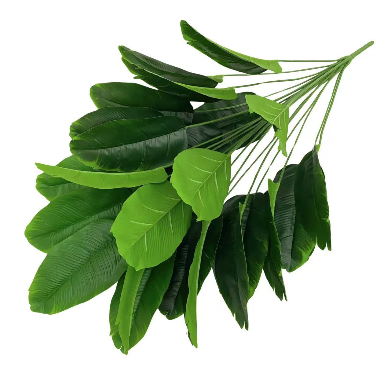 微信图片_20240229103826