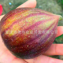 �f�ݟo�������Ĵ��o���� �F�ݟo�������Ϻ�����ϟo�����������l