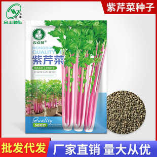 ���S�N�I ���۲˷N�Ӽt�۲˷N�����ی���÷�t���۲˷N���ļ�����