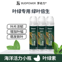 海洋活力植物叶绿素小瓶100ml 黄叶变绿微量元素叶绿素花卉营养液