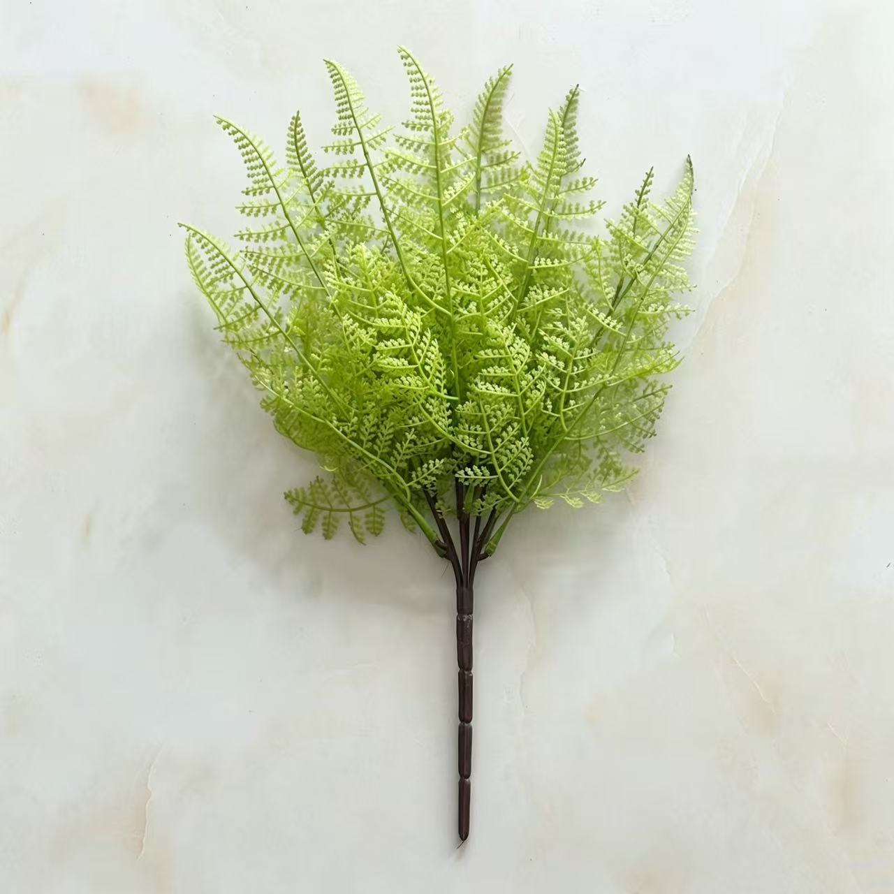 13枚の葉のプラスチックアスパラガスの葉