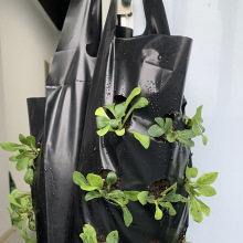 �҃��ⴹֱ�Nֲ�߲���ݻ��ܼӺ�ֲ���ݮ�Nֲ���������DIY����