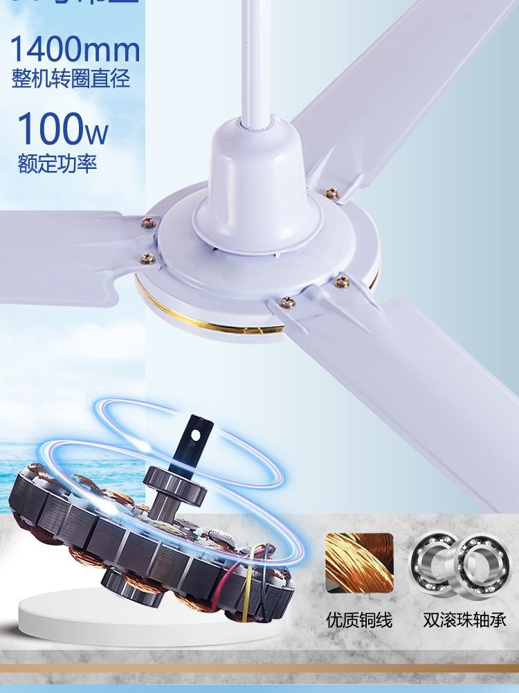 dd4e3a59-cad3-4b24-86cf-5b9a70505ba4.jpe