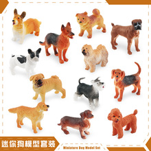 �羳����12�����㹷��ģ��������Ȯ��ë̩�Ͽ»���ţȮ���ﹷ�[��