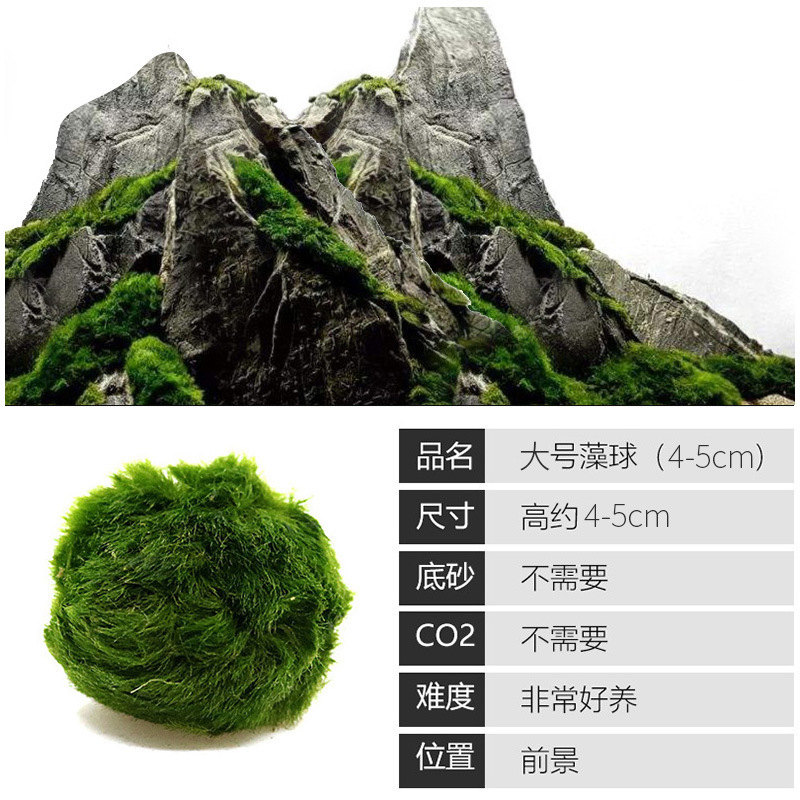 水槽造園パッケージ、水ヤシ、沈木、本物の水、淡水、無土壌植物、酸素化、低パール|undefined