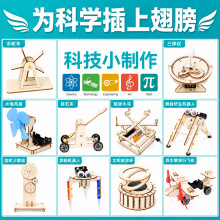 科学实验器材幼儿园启蒙教学专用手工diy材料包环保木质拼装玩具