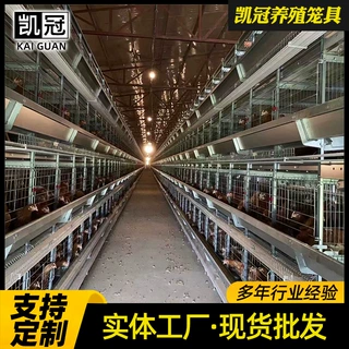 定制框架蛋鸡笼子叠式阶梯式养鸡笼畜牧养殖厂家大层叠蛋鸡笼子
