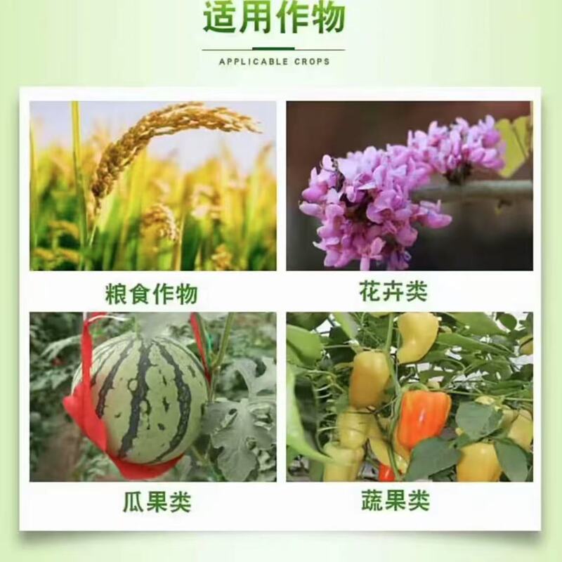 分销速绿120水溶肥快速补充营养增强植株光合作用提高酶活性肥料|undefined