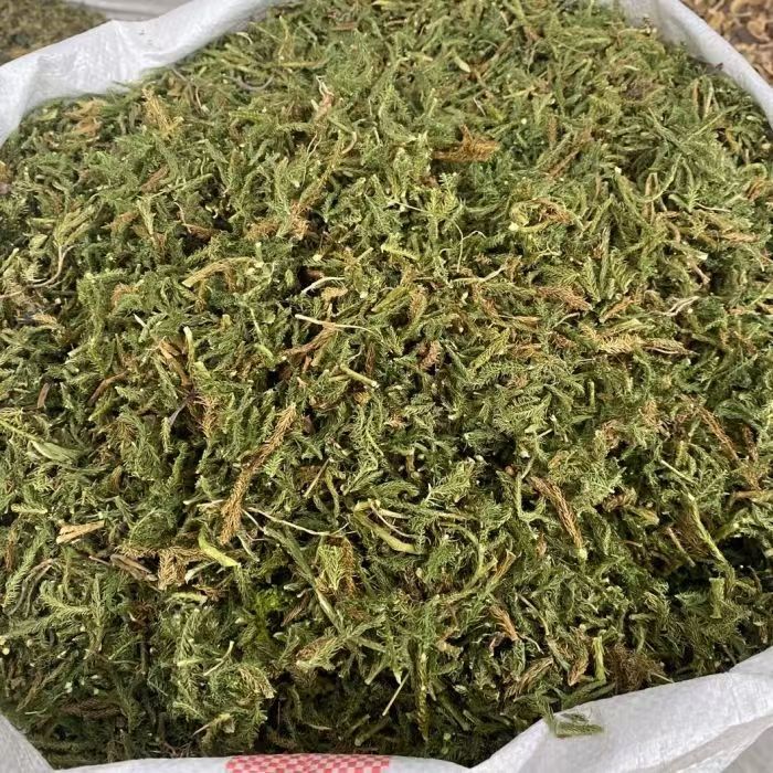 Shen Jin Cao Dried Clubmoss Whole Herb 500g Bulk Sichuan Origin Traditional TCM Ingredient specifications