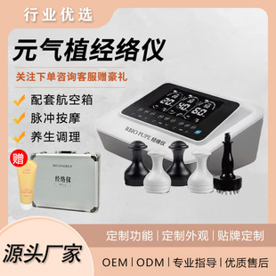 Vitality Plant Meridian Beauty Salon's Same Meridian Dredging Biological Micro-Electric Pulse Instrument Evergreen Chinese Beauty Massager