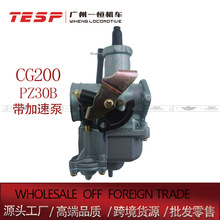 CG200 PZ30B �����ٱ� �m��������X������175 Ħ��܇������ ��݆