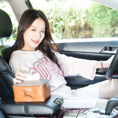 Car tissue box/set | bag