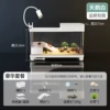 Swan White-Luxury Sunbathing Package [One-click Drainage]