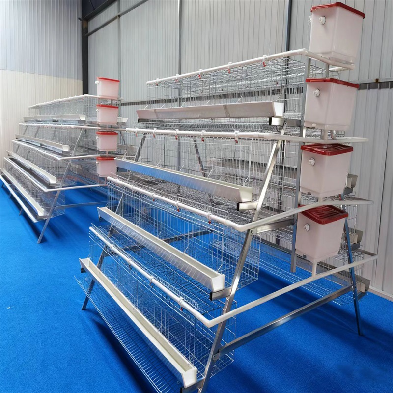 Galería de huevos multicapa Galería de huevos galvanizada en frío