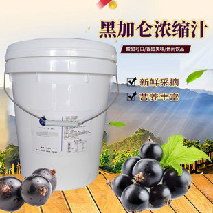 花青健 新品黑加侖濃縮汁 25kg食品級包裝 源頭廠家特濃原漿