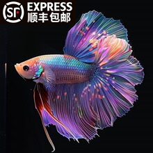 ��S̩�����~�^�p�~���B�ͻ�һ��һĸС�͵�ˮ�Ꭷ�~���ֻ鼆�~