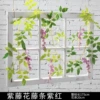 Wisteria flower bars purple red 1