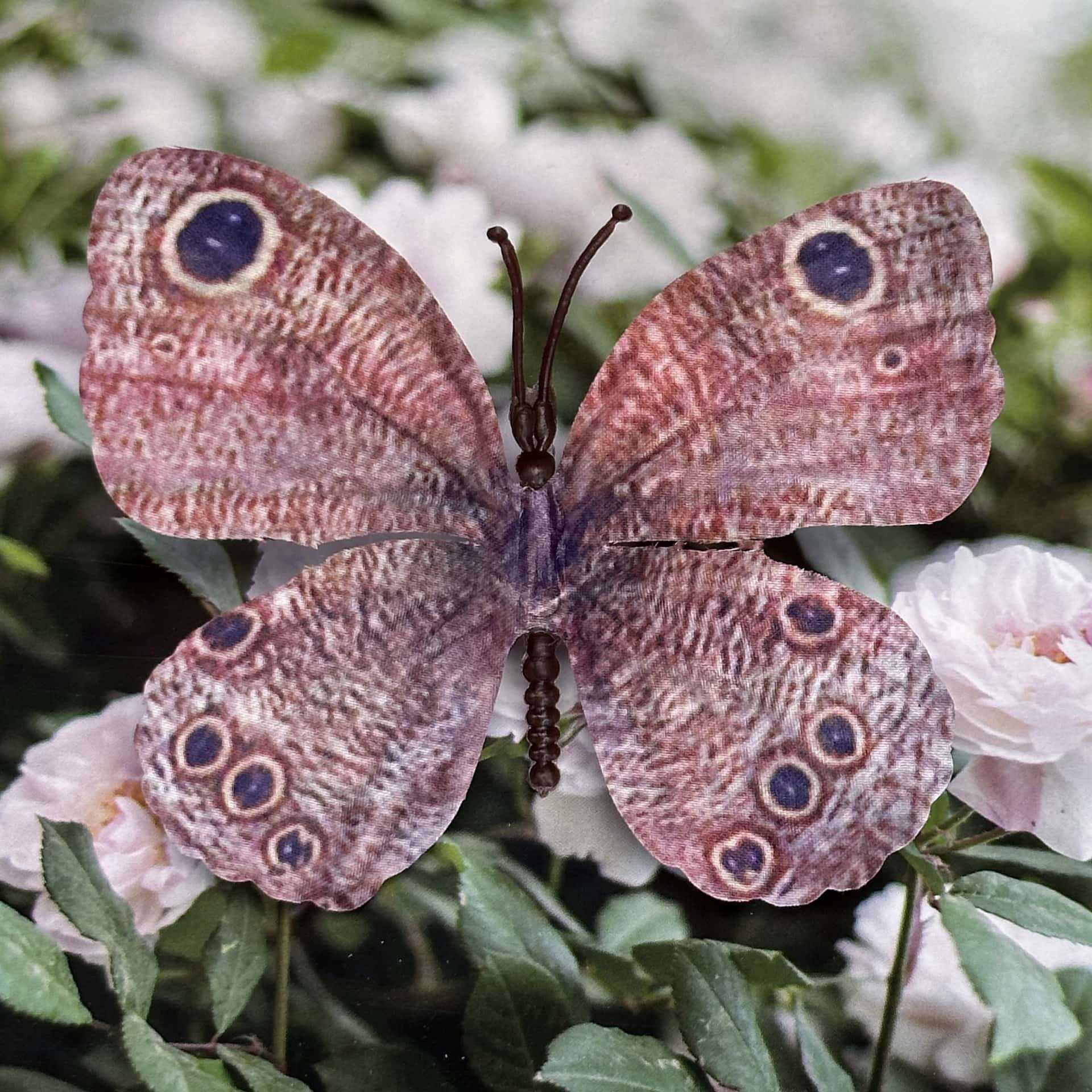 Seda 11CM color mariposa talla grande 11