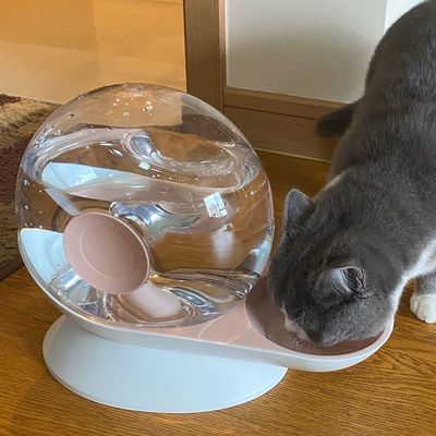 Pets Water Kitty Water dispenser Plug in Dogs Drink plenty of water automatic Upset Basin Water bowl Kitty Water dispenser