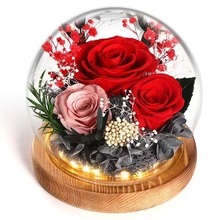 球形玻璃罩永生花玫瑰康乃馨向日葵永生花礼品情人节母亲节礼物