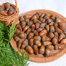 ȻĹȻӸɹ}QDIYֹ׃@bù