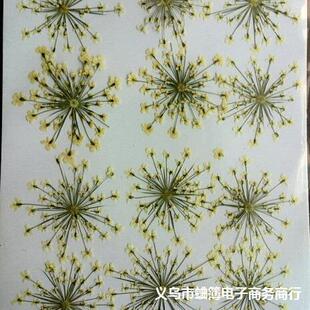 �ɻ��S�����l�ٽz��ѩ�黨���ǻ�Ѻ�����׸ɻ����z�֙C��ˇ�gѺ��