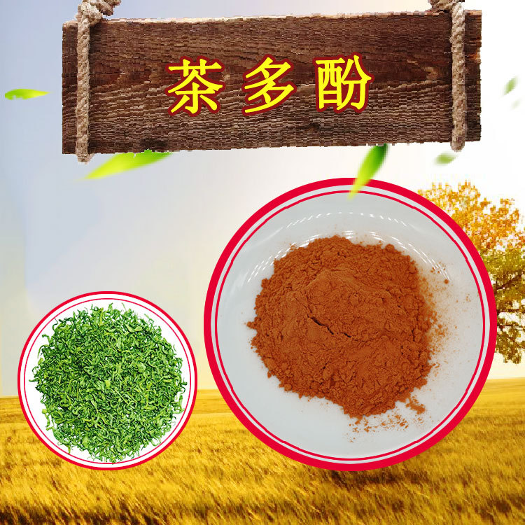 茶多酚50%~98%现货包邮绿茶浓缩粉可寄样品绿茶提取物