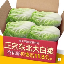 ɽ�|�H����ײ����r10����]�r���߲��r���ԷN�S�İ��Ĳ����w�ײ�